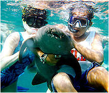 Lil Alphonse Snorkeling on Ambergris Caye