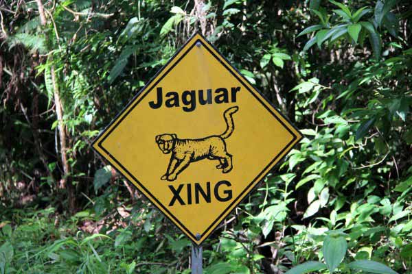 Funny Signs in Belize
